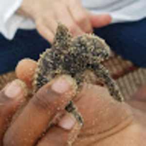 Meet your Posher, Patricia